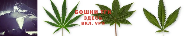 гидропоника Мегион