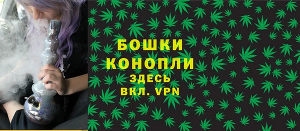 не бодяженный Надым