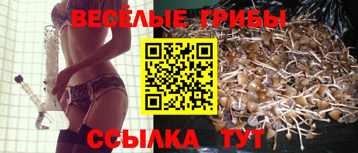 Псилоцибиновые грибы Psilocybine cubensis  Псилоцибиновые грибы ЛСД  Вход с VPN  Строитель 